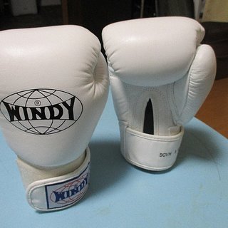 WINDY ボクシンググローブ　白　８oz