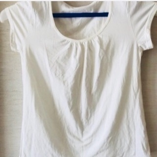 Tシャツ 白 大きなサイズ