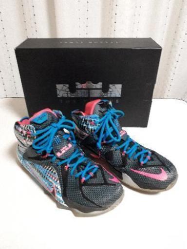 NIKE　バッシュ　26cm レブロン12
