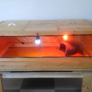 爬虫類ケージとケージ台、ライト、サーモ、ヒーター等飼育セット一式※8万円