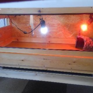 爬虫類ケージとケージ台、ライト、サーモ、ヒーター等飼育セット一式※8万円