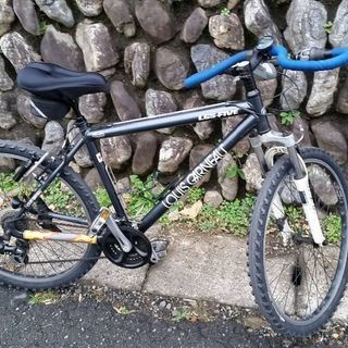 ルイガノ　手渡し限定　ジャンクでないです！ ルイガノ 手渡し限定 ジャンクでないです！ 【公式通販】