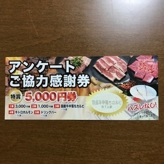 国産牛焼肉 あみやき亭 チケット