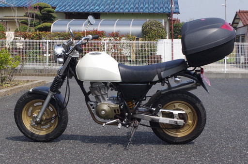 エイプ100 カスタム 最新 エイプ100 カスタム 最新