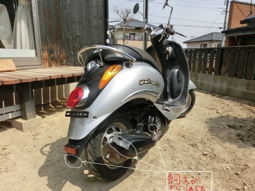 SYM UMI100cc 台湾メーカーです。 | mayberrydental.ie
