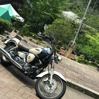 希少】ドラッグスター 250 クラシックエディション 愛知県内対応 msb.az