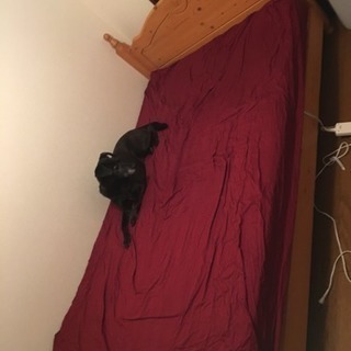 ダブルベッドです