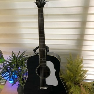 モーリスギター   エレアコ 未使用品 G35