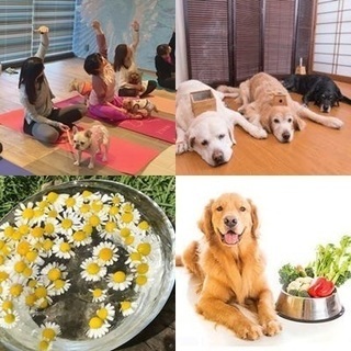 【6月2日（土）】ペットの長生きをサポートする6つのレッスン