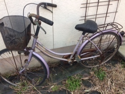 自転車 野ざらし