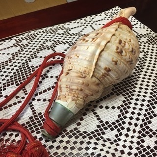 ほら貝の笛 Alba Com Gt