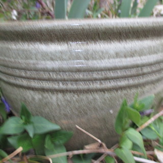 陶器鉢Ⅱ