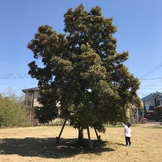 板橋区、練馬区付近でママ友募集です(•ө•)♡