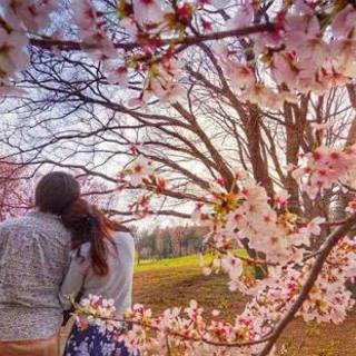 【お花見🌸BBQとマジックショー】(年齢制限なし男女募集)