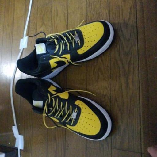 NIKE2007限定です