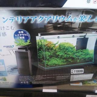 新品、未使用　ハイパワーろ過付き60cm規格水槽　エビちゃんのお...