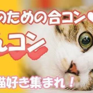 にゃんコン ☆4月14日（土）18時30分スタート☆猫好き集まれ...