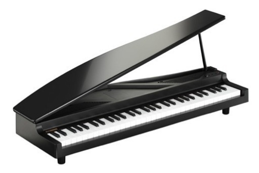 KORG コルグ コンパクトピアノ microPIANO Black