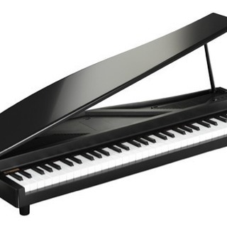 KORG コルグ コンパクトピアノ microPIANO Black