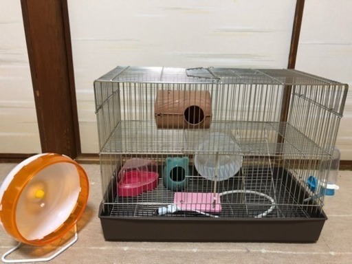 ハムスター飼育セット大 二階建てケージ さくら 福岡のその他の中古あげます 譲ります ジモティーで不用品の処分 ハムスター飼育セット大 二階建てケージ さくら 福岡のその他の中古あげます 譲ります ジモティーで不用品の処分