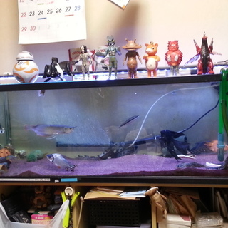 【引取限定】水槽 120x45x45/ 外付ろ過機エーハイム プロフェッショナル3(2080)/LED照明器具(120cm用)/ヒーター300ｗサーモスタット付 etc...