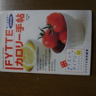 ＦＹＴＴＥ　カロリー手帖(２００４年版) オールカラー　中古