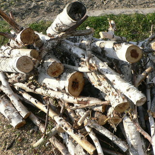 薪ストーブ用　生木　
