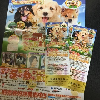ペット王国2018（京セラドーム大阪）特別招待券　２枚を2,000円