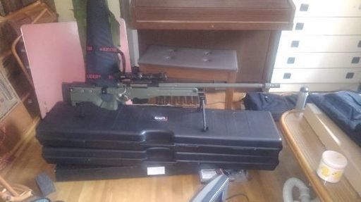 S\u0026T AW338エアコキ