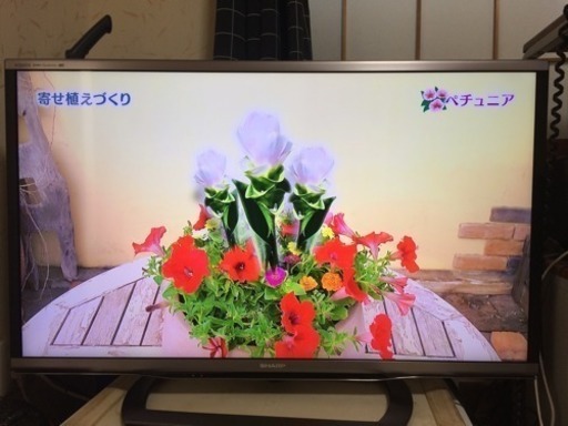 お話中【極美品】SHARP 液晶テレビ 40型 LC-40G9【本日15時までにお引き取りの方は25000円で】