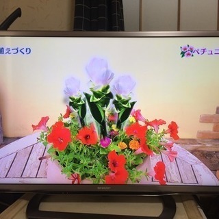お話中【極美品】SHARP 液晶テレビ 40型 LC-40G9【...