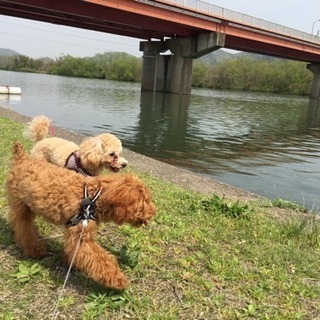 犬友募集🐶 - 岡山市