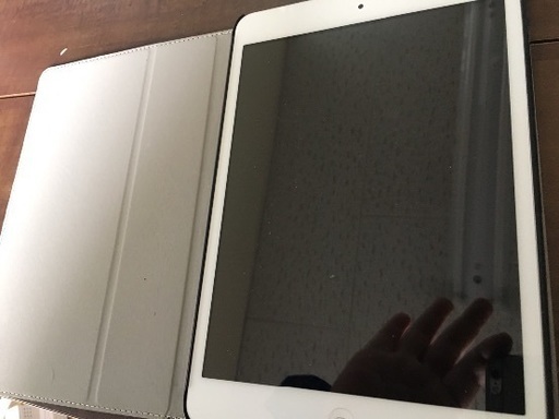 iPad iPad mini