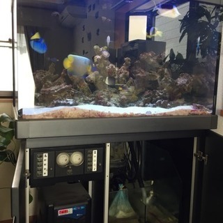 レッドシー オーバーフロー