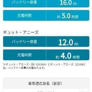 Panasonic　ギュットアニーズdx　最終大幅値下げ！