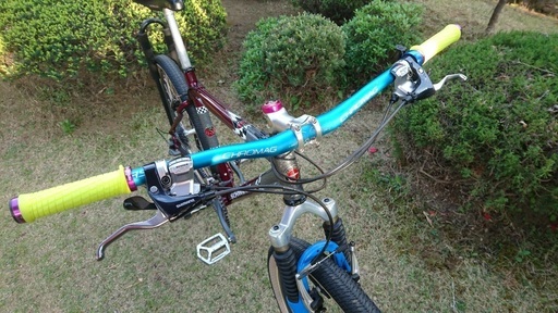 シュウイン ホームグローン 希少YETIメイド XTR DT - マウンテンバイク 