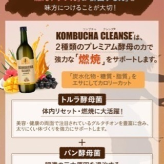 ダイエットジュースでございます。