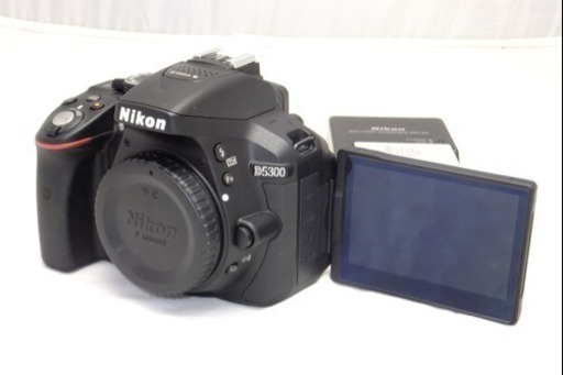 Nikon D5300 ショット数669の上モノです。