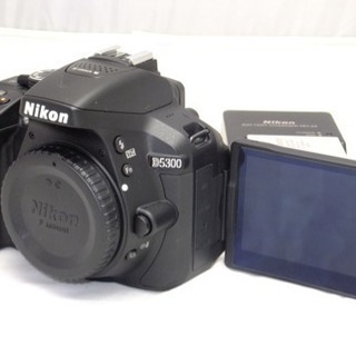 Nikon D5300 ショット数669の上モノです。