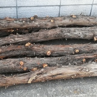 伐採木、無料。薪などにどうぞ。検索用:木材･材木･丸太。