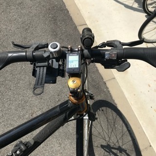 ジャイアント トラディスト