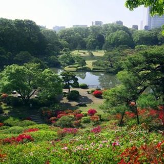 4月21日(土) 東京の名所！六義園と旧古河庭園をゆっくり散歩！...
