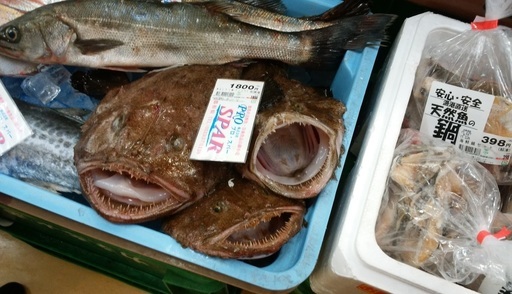 愛知県でマイナー魚介 未利用魚を探す会 Hristo 名古屋の友達のメンバー募集 無料掲載の掲示板 ジモティー