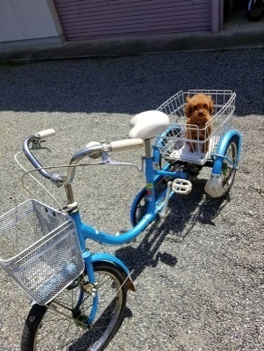 三輪車 ブリジストンワゴン(シフト段階シングル)