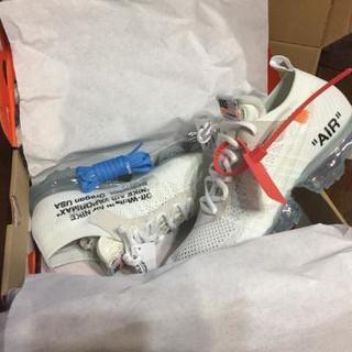 エアヴェイパーマックス  THE 10