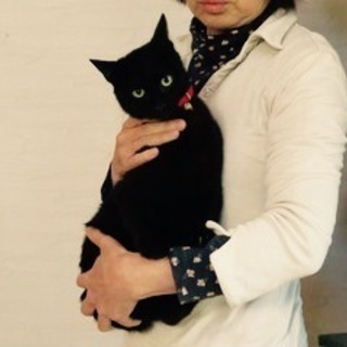 可愛い黒猫6ヶ月