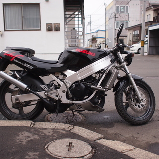 スズキ　RGV ガンマ　ウルフ　250