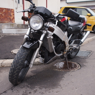 スズキ　RGV ガンマ　ウルフ　250