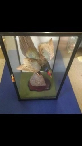 鳥のアンティークのわりに綺麗