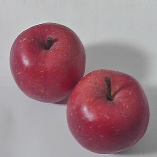 食卓の飾り　リンゴ